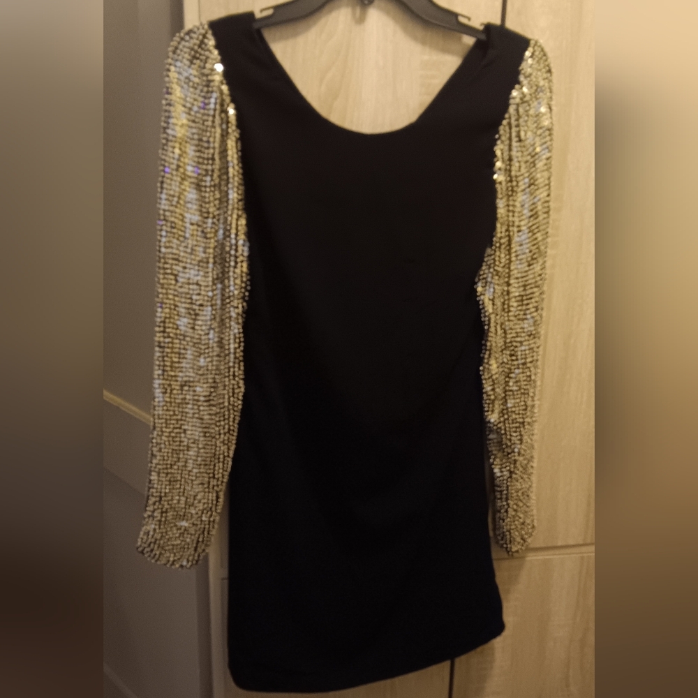 Parker Black Dress with Gold Sequin Sleeves